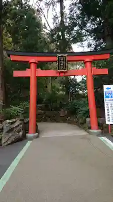 箱根神社の鳥居