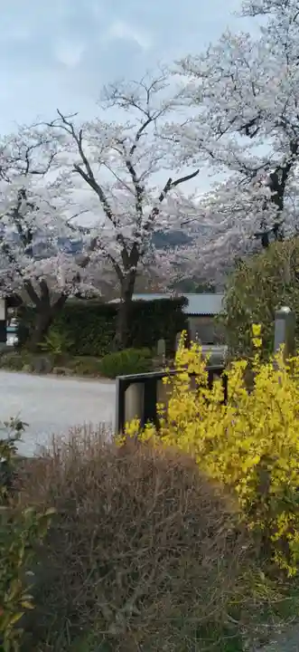法長寺(埼玉県)