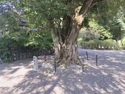 葛城神社妙見宮(福岡県)