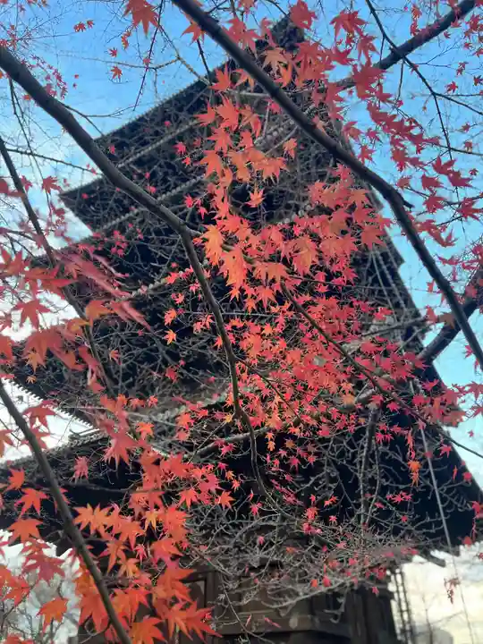 東寺(教王護国寺)(京都府)