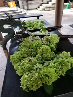 熊野神社(東京都)