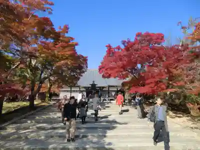 仁和寺(京都府)