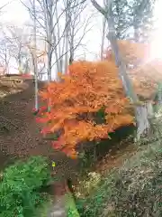 南部神社の自然