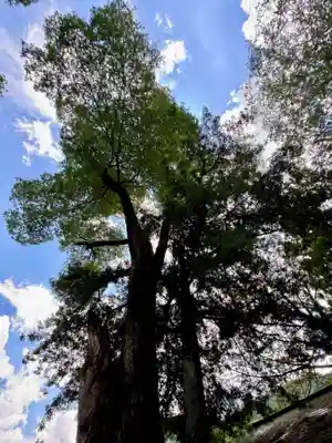 天引八幡神社(京都府)