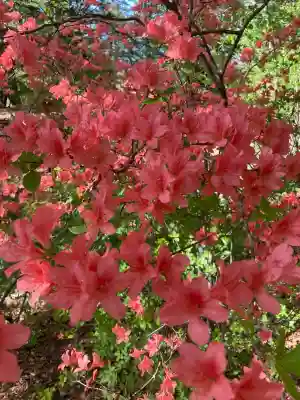 稲荷神社(長野県)