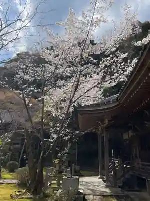 勝持寺（花の寺）(京都府)