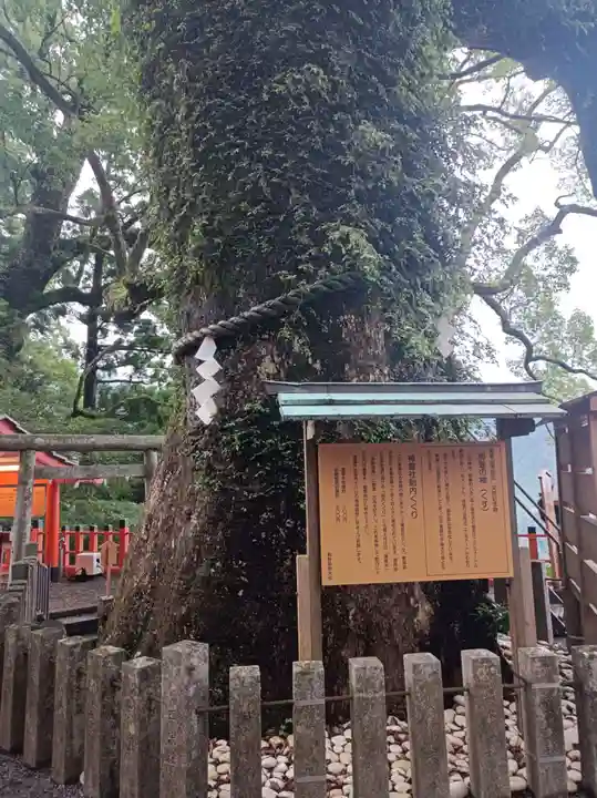 熊野那智大社(和歌山県)