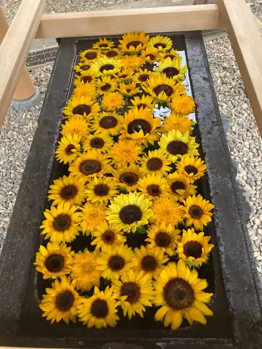 上目黒氷川神社の手水舎