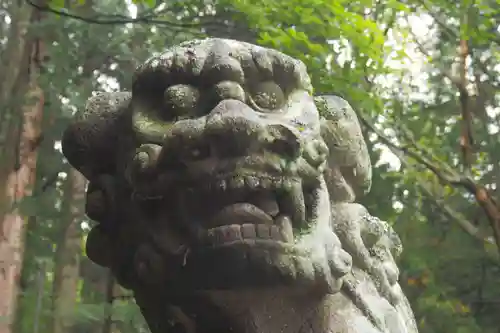 戸隠神社宝光社の狛犬