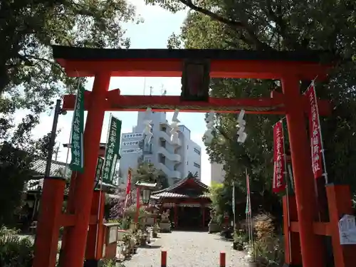 源九郎稲荷神社の鳥居