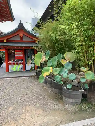 生田神社のその他建物