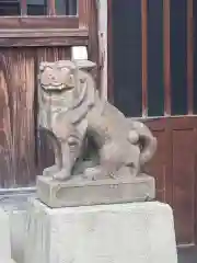 恵比須神社の狛犬