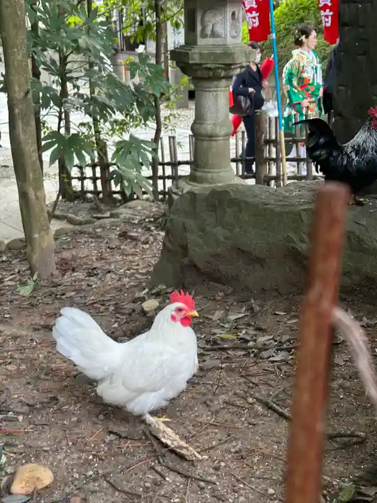 大崎八幡宮(宮城県)