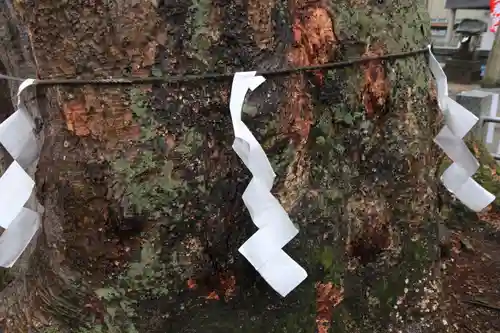 阿邪訶根神社の自然