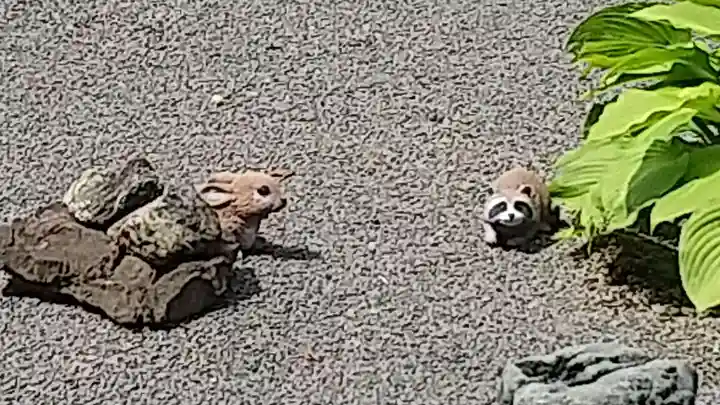 常陸第三宮 吉田神社(茨城県)