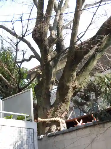 円珠庵（鎌八幡）(大阪府)