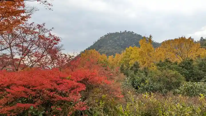 光悦寺(京都府)