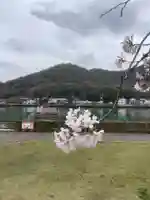 八大白龍大神の自然