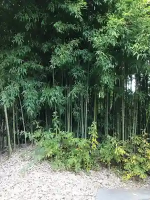 円応寺のその他建物