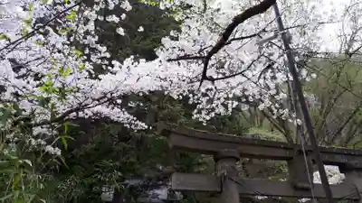 湯泉神社の自然