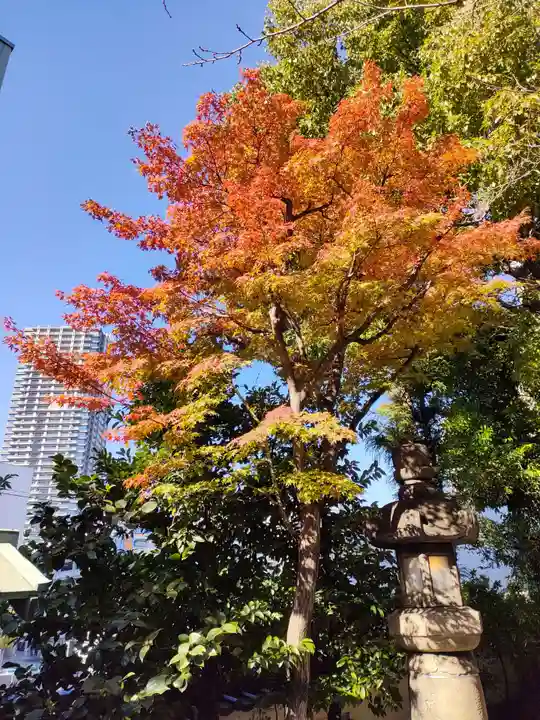 洲嵜神社の景色
