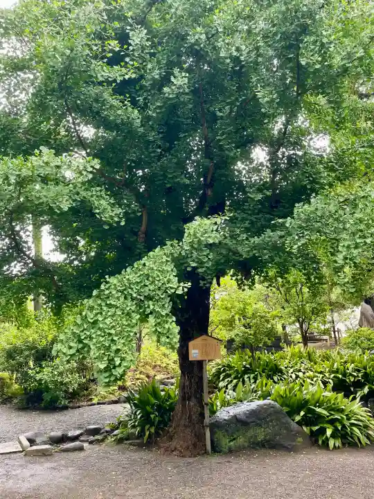 駒止稲荷神社(東京都)