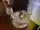 nyanさん