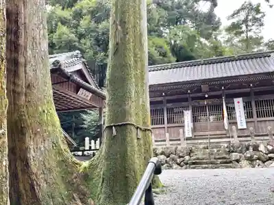 日尾神社(三重県)