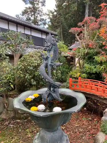 慈尊院(和歌山県)