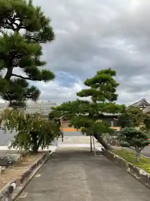 妙禅寺(愛知県)