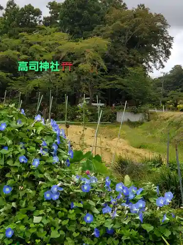 高司神社〜むすびの神の鎮まる社〜(福島県)