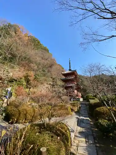 三室戸寺(京都府)