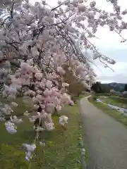 朝倉神社の自然