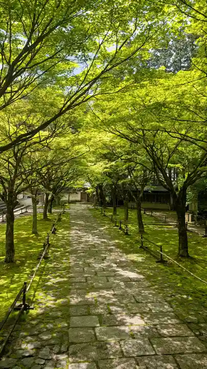 呑山観音寺(福岡県)