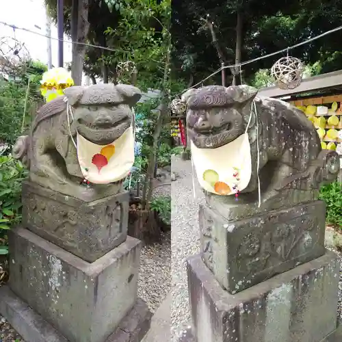 菊田神社の狛犬