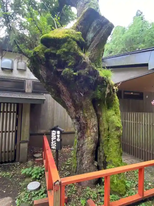 箱根神社(神奈川県)