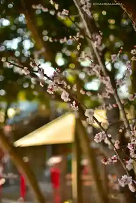 常陸第三宮 吉田神社(茨城県)