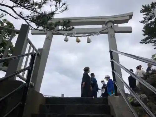 海津見神社（桂浜龍王宮）の鳥居