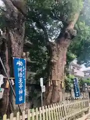 阿倍王子神社の自然