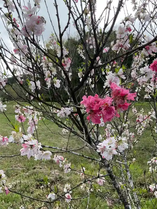 恵利寺の庭園