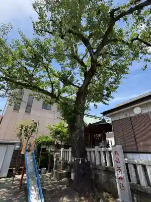 相武台神社(神奈川県)
