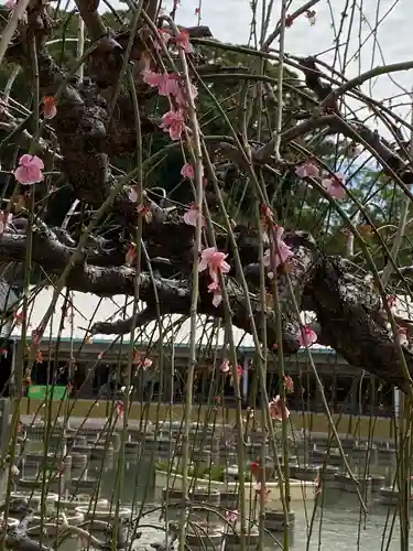 太宰府天満宮の庭園