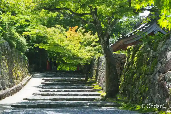 実光院(京都府)
