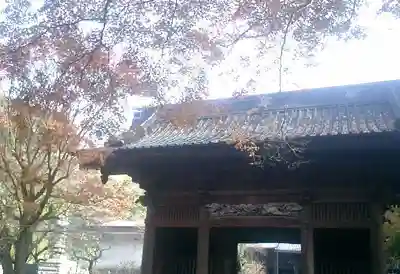 妙本寺の山門・神門