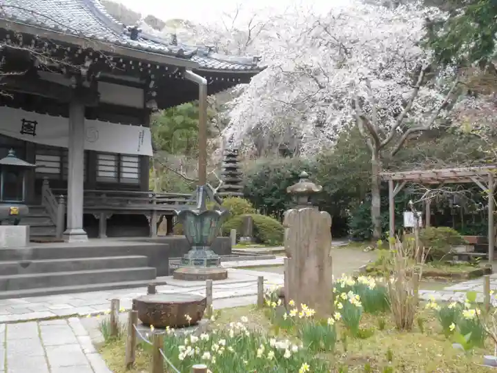 安國論寺(安国論寺)の景色