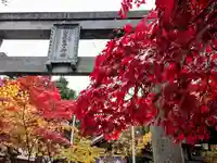 彌彦神社 (伊夜日子神社)の自然