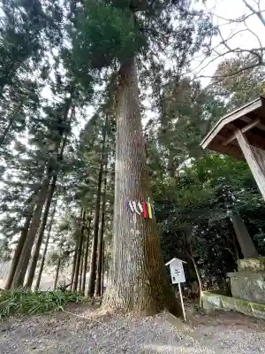 岩戸別神社の{uncategorized: "未分類", other: "その他", undefined: "問題あり", building: "その他建物", grave: "お墓", sacred_gate: "鳥居", guardian: "狛犬", statue: "像", buddha: "仏像", history: "歴史", nature: "自然", garden: "庭園", animal: "動物", pagoda: "塔", temizu: "手水舎", mountain_gate: "山門・神門", sanctuary: "本殿・本堂", subordinate: "末社・摂社", art: "芸術", scenery: "景色", jizo: "地蔵", ema: "絵馬", goshuin: "御朱印", omikuji: "おみくじ", items: "授与品その他", amulet: "お守り", goshuincho: "御朱印帳", eats: "食事", festival: "お祭り", votive_dance: "神楽", shichigosan: "七五三参", wedding: "結婚式", experience: "体験その他", initially: "初詣", around: "周辺", anti_infection: "感染症対策"}