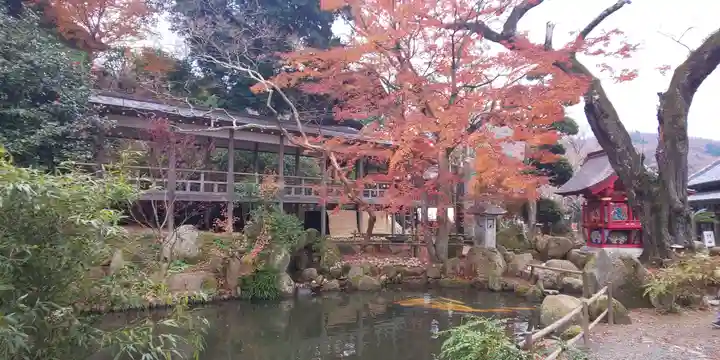 楽法寺(雨引観音)の庭園