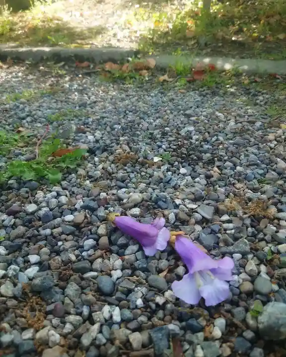 豊國神社(愛知県)