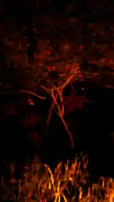 賀茂御祖神社（下鴨神社）(京都府)